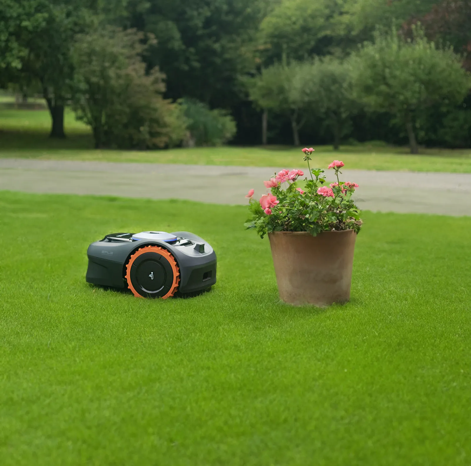 Der Garten am Hang